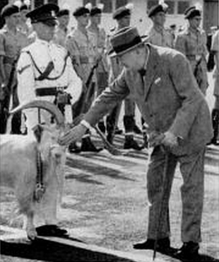 william-windsor-the-goat
